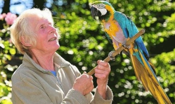 10-те најстари животни кои сè уште се живи