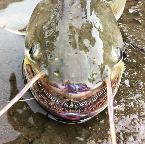 Морничави фотографии што ќе ве извадат памет!