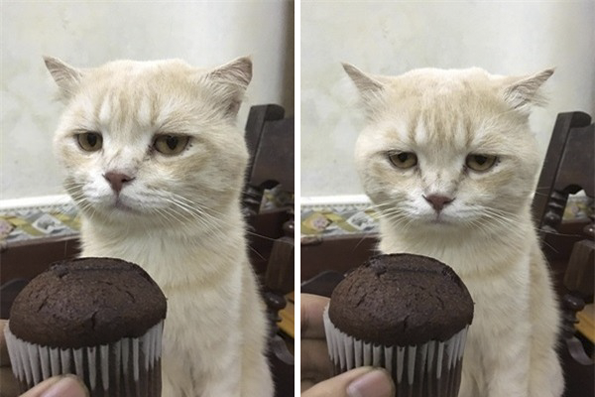 Запознајте го најслаткиот продавач на риба во Виетнам кој го освои Интернетот