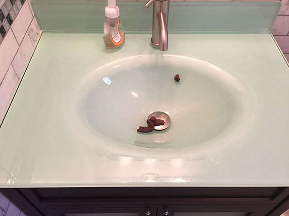 (14) zhivotot-so-machki-ne-e-voopshto-ednostaven-no-toa-ne-ne-sprechuva-da-gi-sakame-www.kafepauza.mk