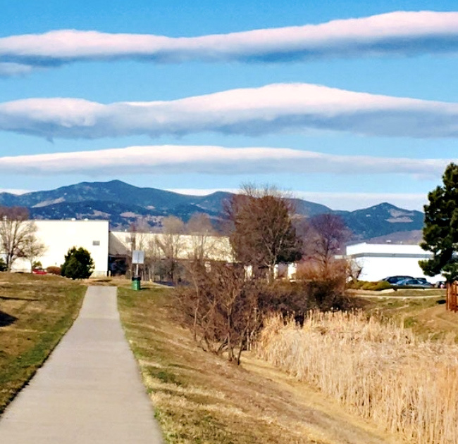 23 неочекувани фотографии кои докажуваат дека животот сè уште може да нè изненади