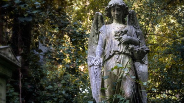 Што се случува со телото и мозокот по смртта?