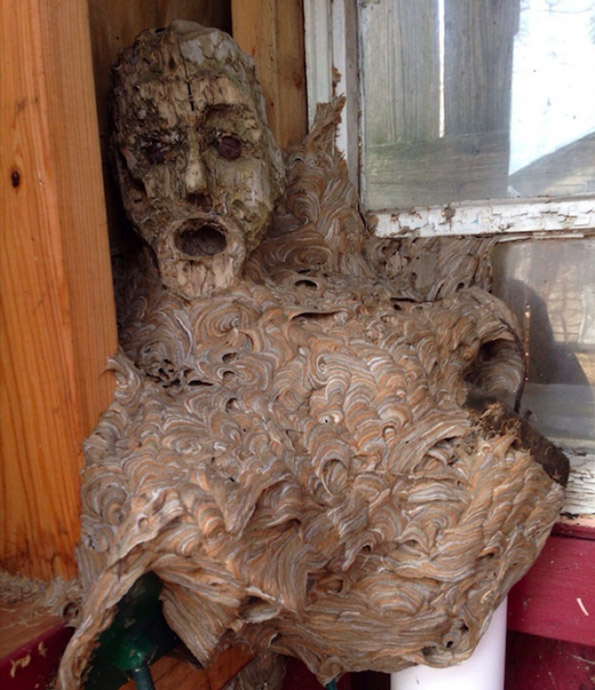 Морничави фотографии што ќе ве извадат памет!