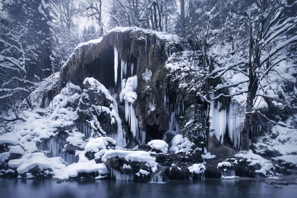 Пејсажи раскажуваат зимска приказна за европските шуми покриени со снег