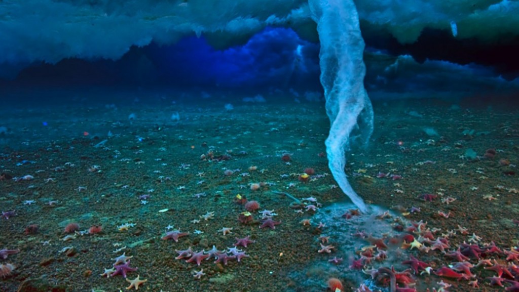 10 фотографии од најневеројатните работи што се случуваат во океаните