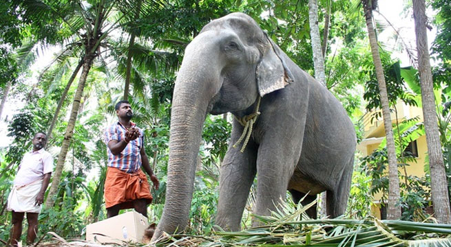 10-те најстари животни кои сè уште се живи