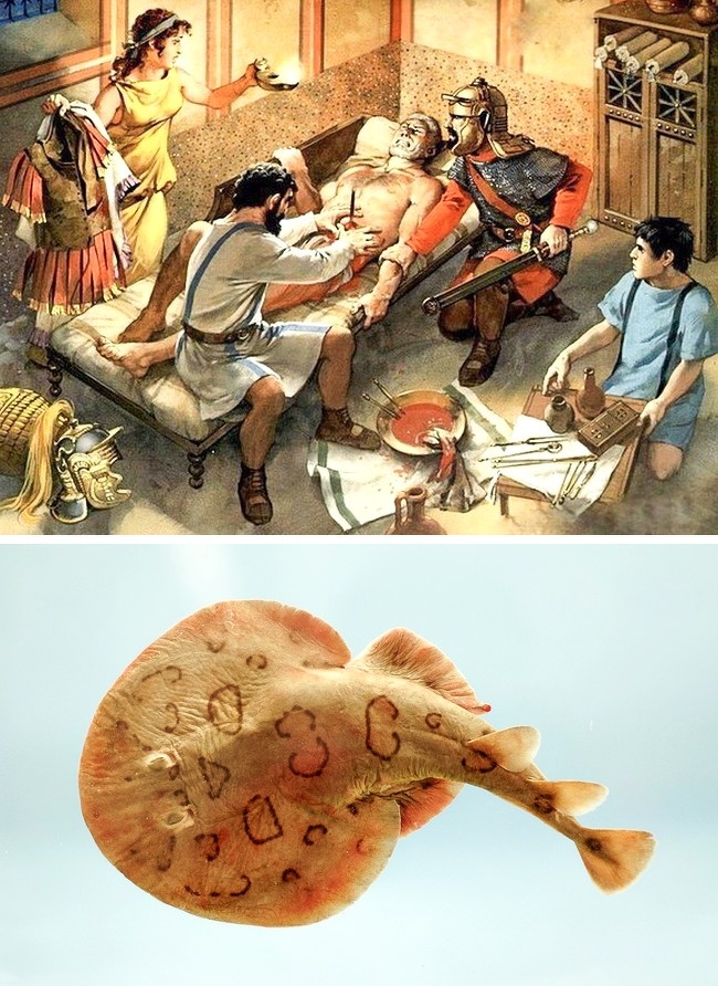 18 интересни историски факти коишто сигурно не ви ги кажале на училиште