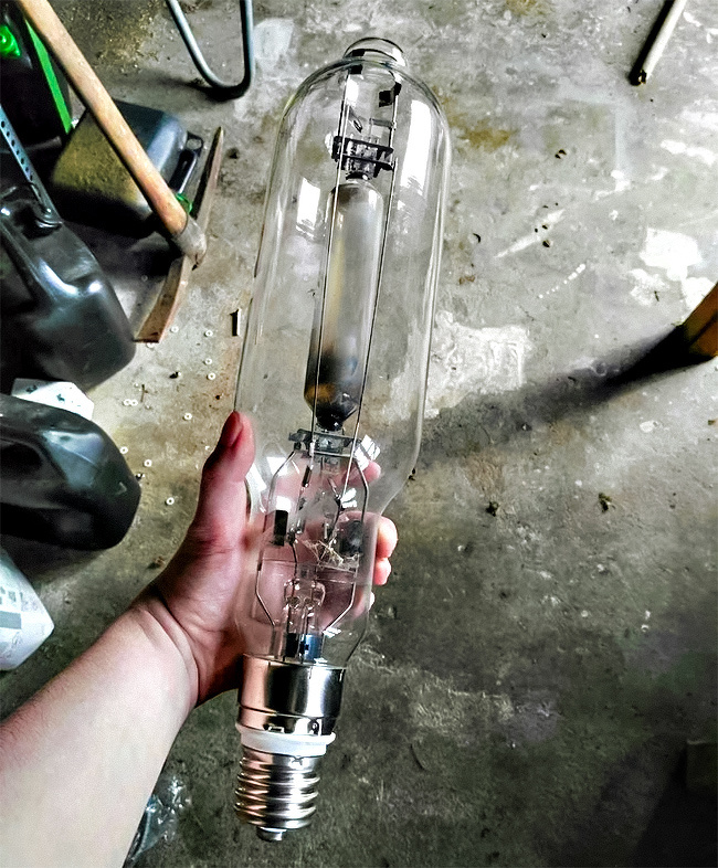 23 неочекувани фотографии кои докажуваат дека животот сè уште може да нè изненади