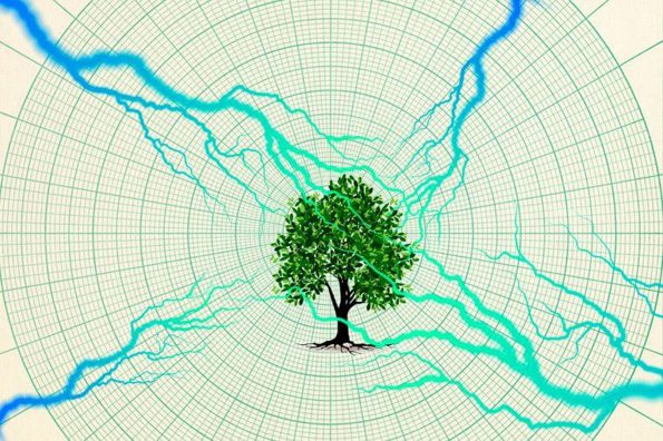 12 прашања од областа на науката што луѓето секогаш погрешно ги одговараат