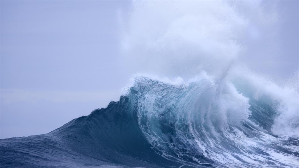 10 фотографии од најневеројатните работи што се случуваат во океаните