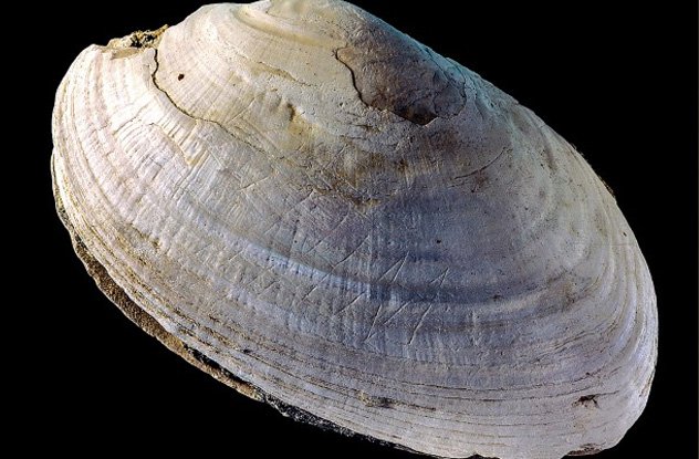 10-те најстари артефакти во светот