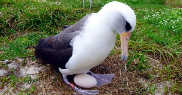 10-те најстари животни кои сè уште се живи