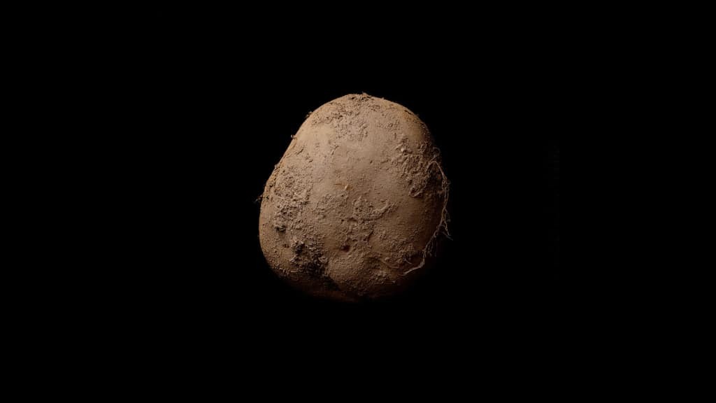 9 луѓе што успеале да продадат глупости за многу пари