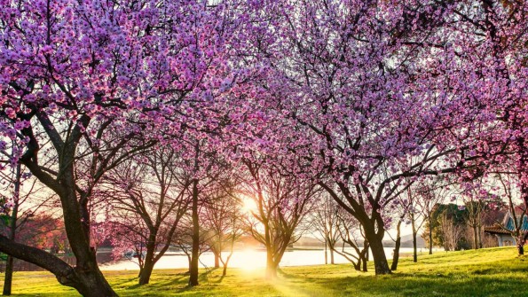 Како да ги поднесете наглите промени на времето?