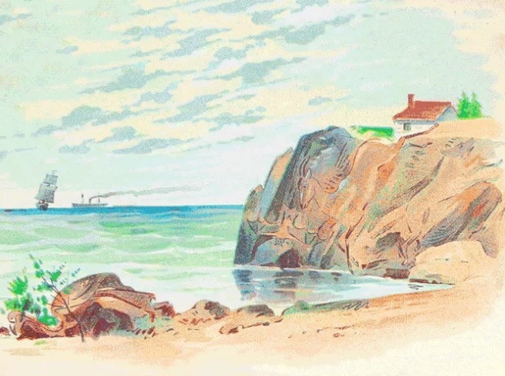 Проверете ја вашата моќ на перцепција и пронајдете ги скриените животни на сликата