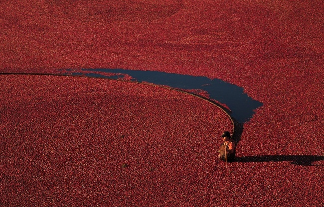 16 фотографии од обични нешта што ќе ве остават без зборови
