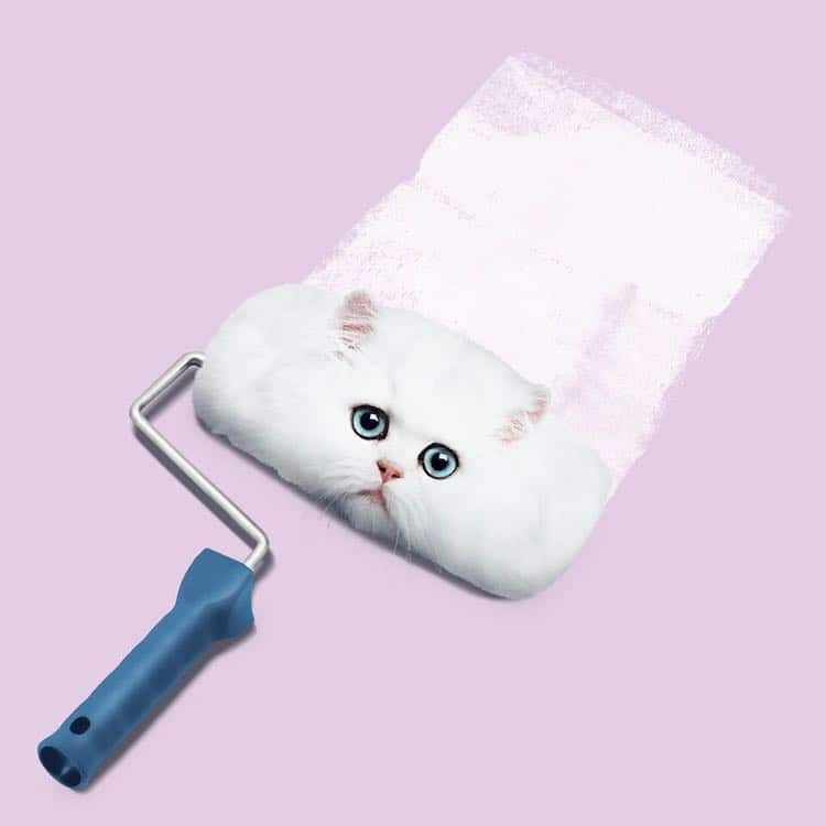 Бизарни комбинации од секојдневниот живот создаваат неверојатни фотографии