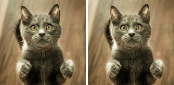 19 факти за нашиот свет кои ќе збунат многумина