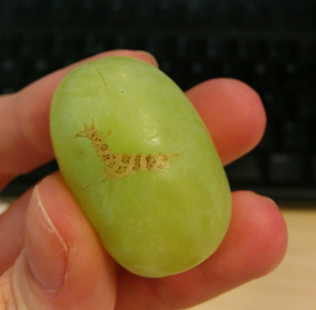 16 фотографии од обични нешта што ќе ве остават без зборови