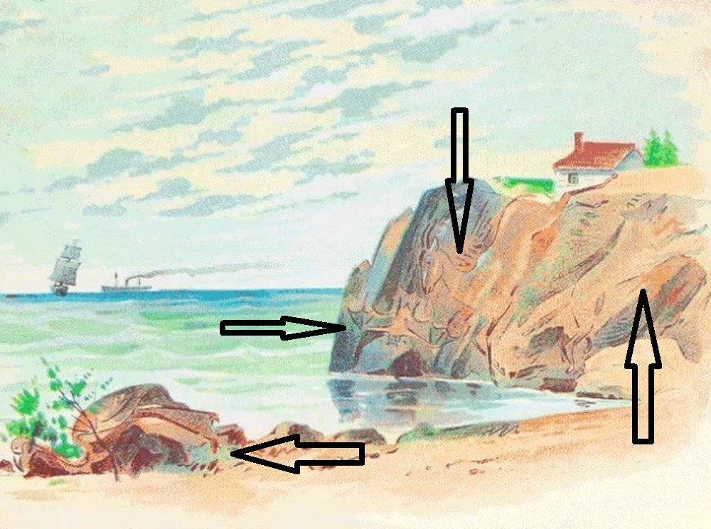 Проверете ја вашата моќ на перцепција и пронајдете ги скриените животни на сликата