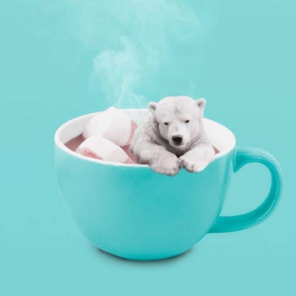 Бизарни комбинации од секојдневниот живот создаваат неверојатни фотографии