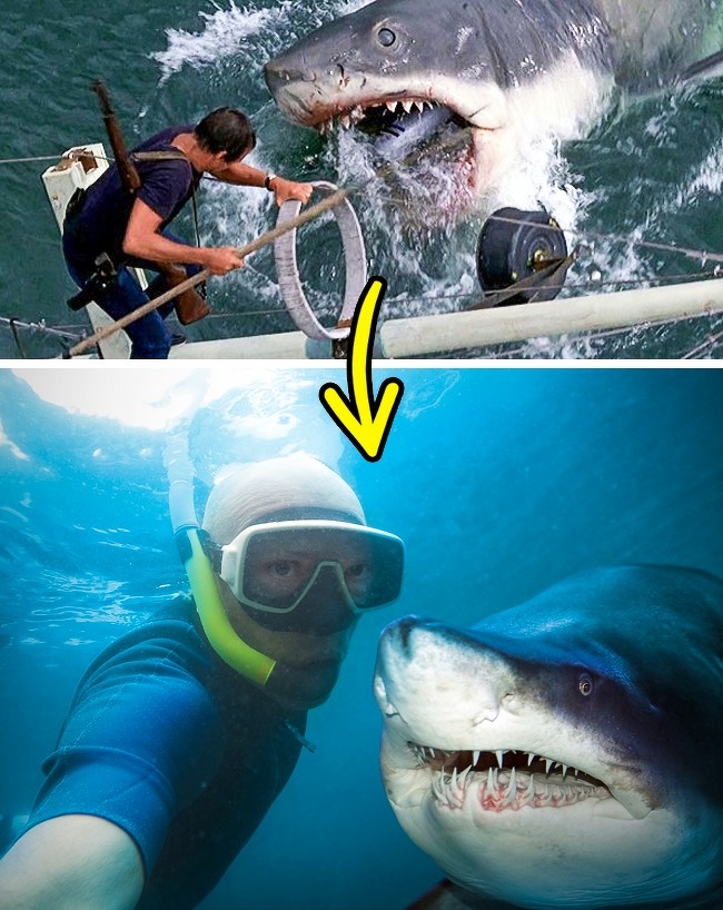 14 филмови кои го променија светот