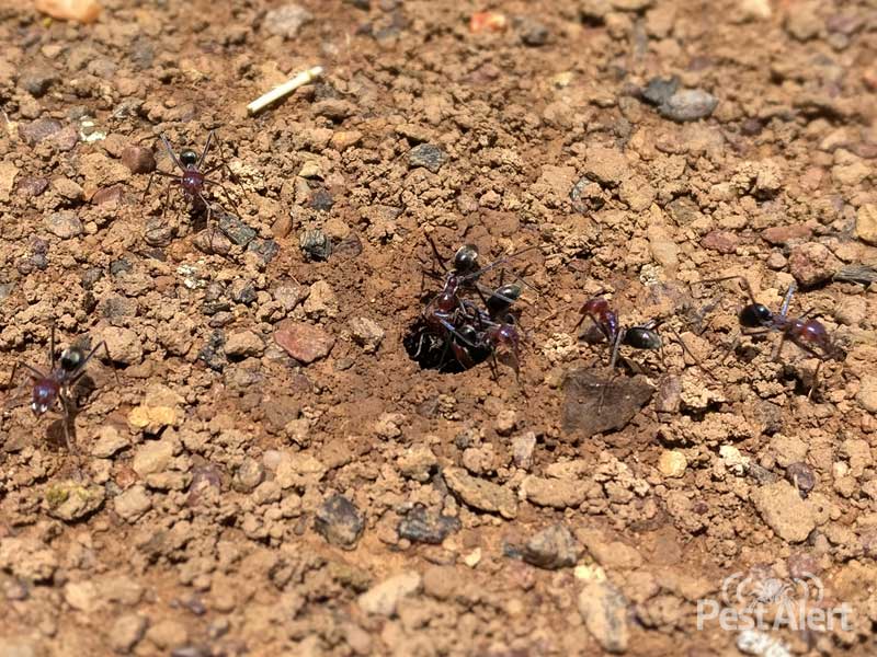 13 чудни настани кои се случуваат во Финска