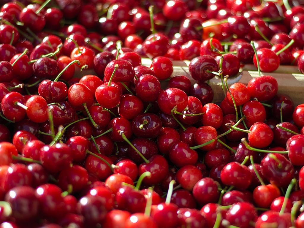 8 продукти кои се покорисни за женското здравје од суперхраната