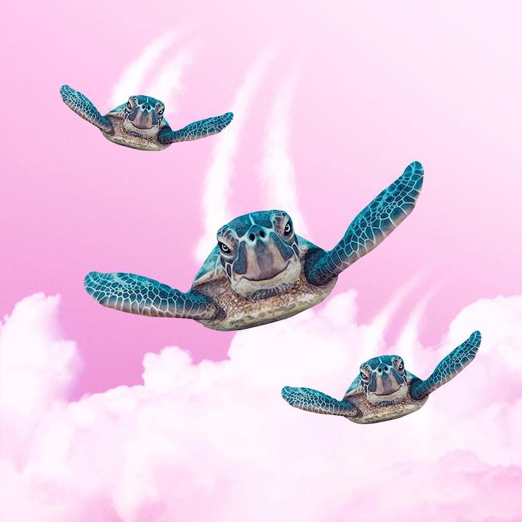 Бизарни комбинации од секојдневниот живот создаваат неверојатни фотографии