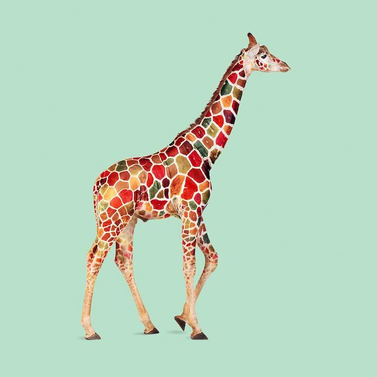 Бизарни комбинации од секојдневниот живот создаваат неверојатни фотографии