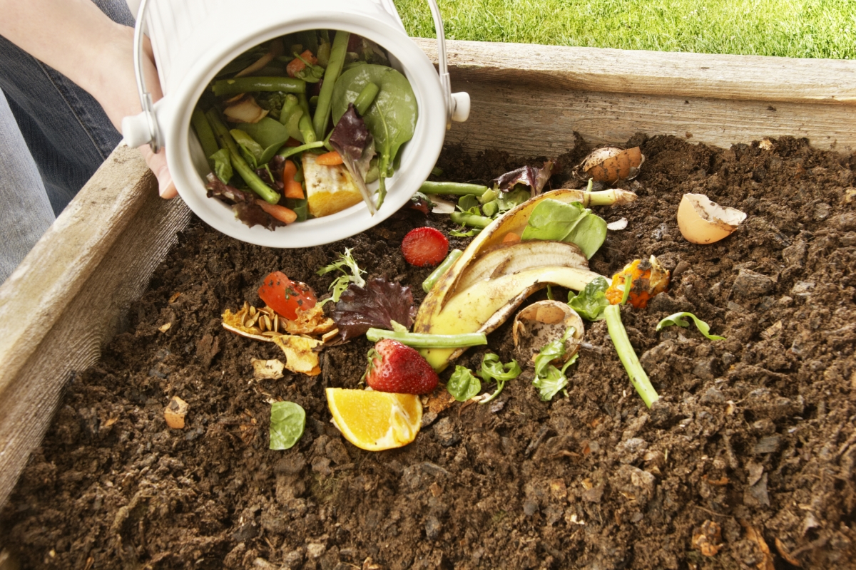 Како остатоците од храна да ги користите како ѓубриво?