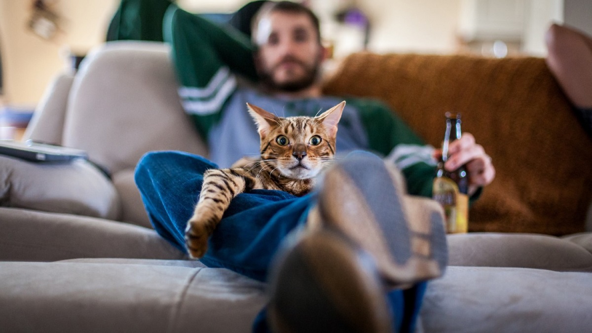 Зошто луѓето сакаат да гледаат ТВ во друштво на милениците?