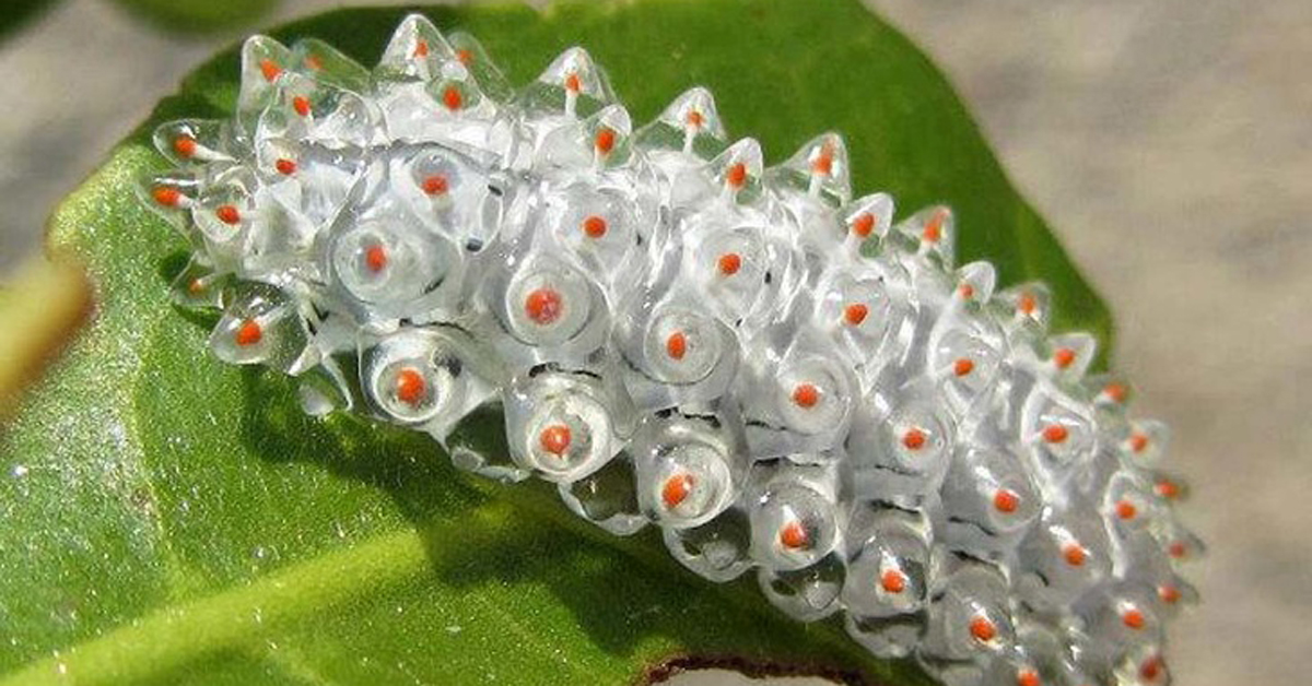 26 уникатни нешта кои е убаво да се видат барем еднаш во животот