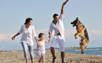 Имате куче, многу пријатели и среќен брак? Тоа е клучот за долг живот!