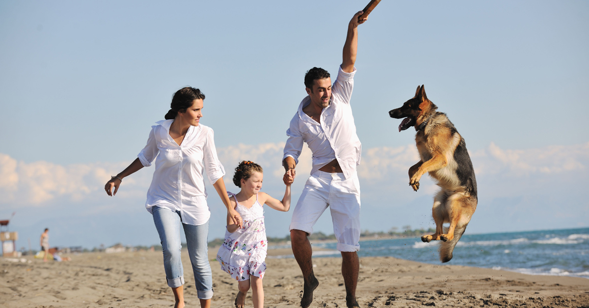 Имате куче, многу пријатели и среќен брак? Тоа е клучот за долг живот!