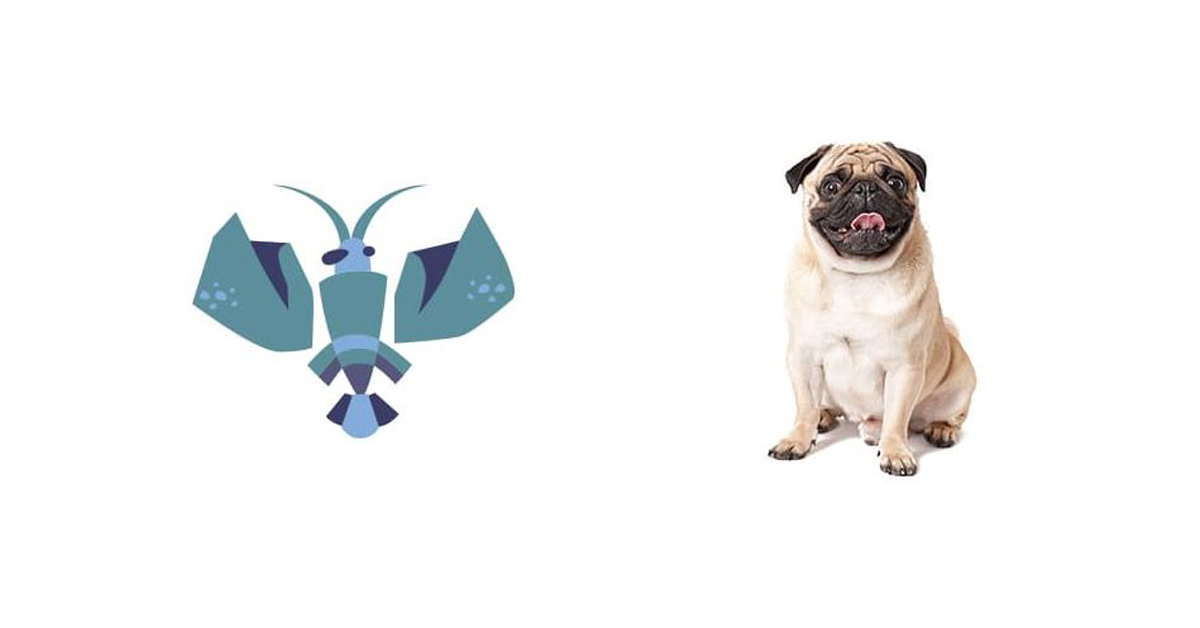 Која раса на куче најмногу му одговара на вашиот хороскопски знак?