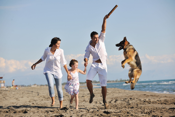 Имате куче, многу пријатели и среќен брак? Тоа е клучот за долг живот!