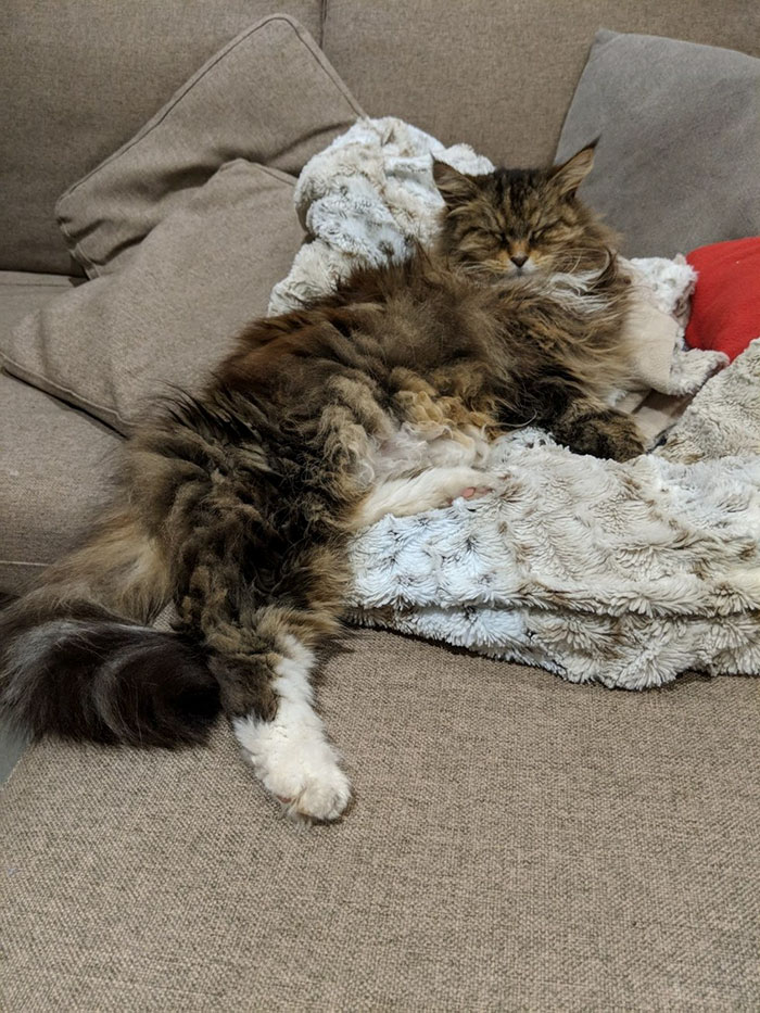 Оваа жена конечно дознала кој е мистериозниот обожавател што ѝ носел цвеќиња