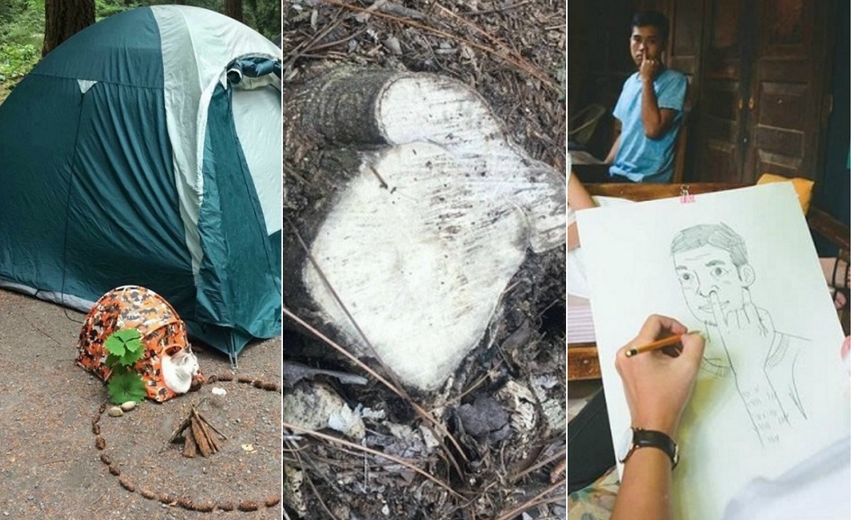 12 апсурдни глетки кои докажуваат дека уште не сте виделе сè во животот