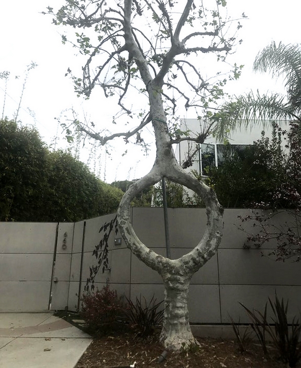 26 уникатни нешта кои е убаво да се видат барем еднаш во животот