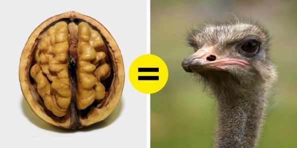 15 факти што докажуваат дека светот е многу почуден отколку што мислиме