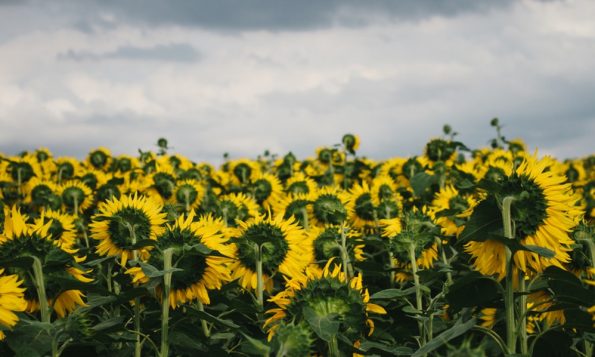 3-те хороскопски знаци со најлоша среќа овој месец