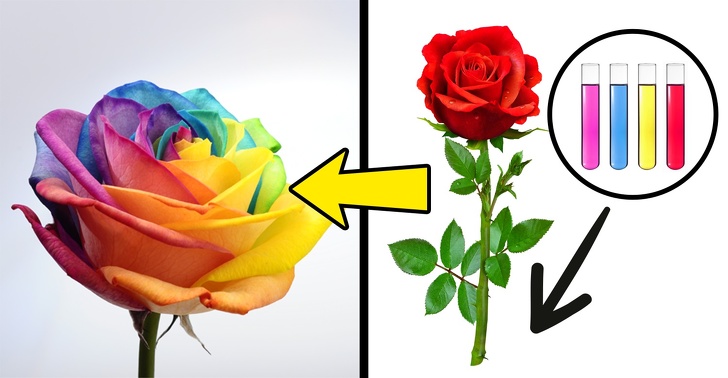 10 нешта направени од луѓето за коишто мислиме дека се природни