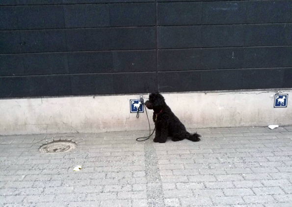 Интересни факти за животот во Финска, кои ќе ги изненадат и најискусните туристи