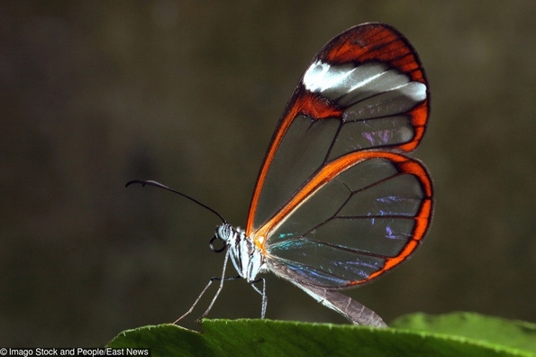 19 фотографии коишто ќе ве восхитат со нивната совршеност 
