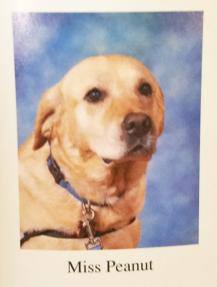 Ако не се насмеавте денес, овие фотографии ќе ви помогнат во тоа