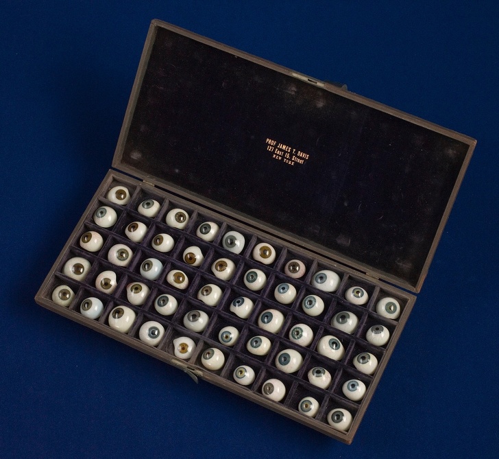 Најневеројатните нешта во музејот Смитсонијан