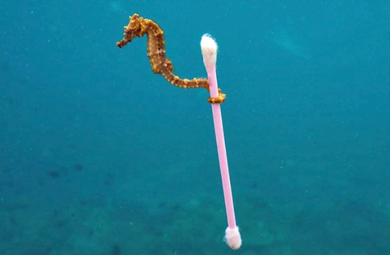 13 фотографии кои го прикажуваат лошото влијание на луѓето врз Земјата