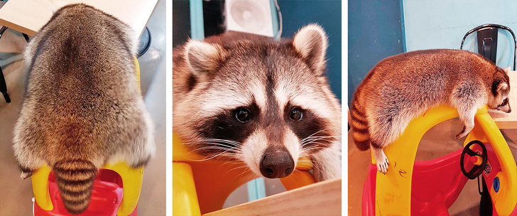 Ако не се насмеавте денес, овие фотографии ќе ви помогнат во тоа