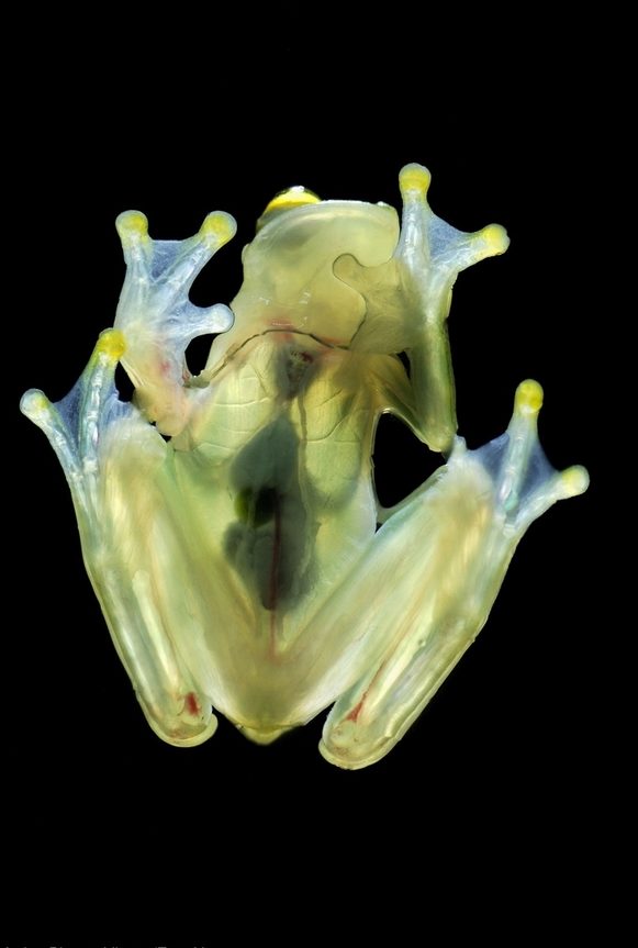 19 фотографии коишто ќе ве восхитат со нивната совршеност 